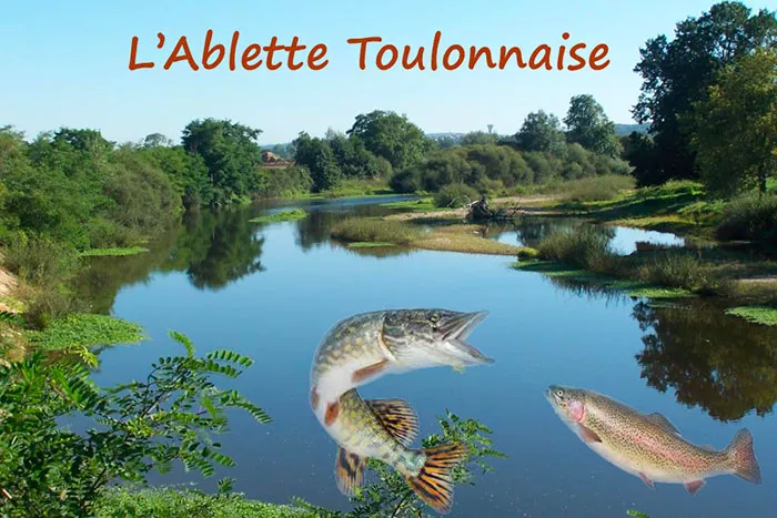 ablette-280625