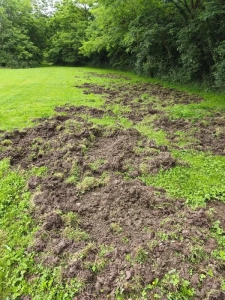 « Coup de gueule » !