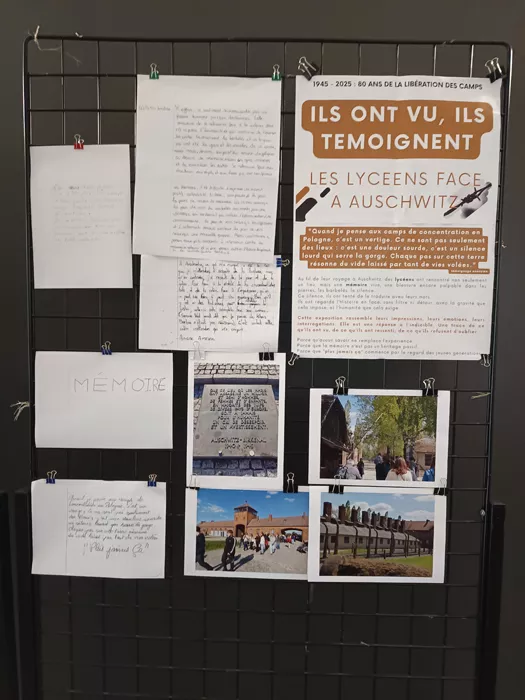 euro-jeunes-040625161031