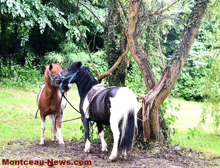 journee-familles-130625161027