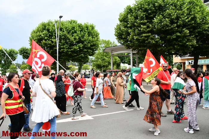 manif-palestine-260625161030