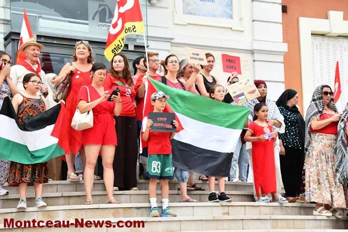 manif-palestine-260625161033