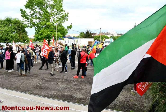 manif-pl-alestine-050625161025