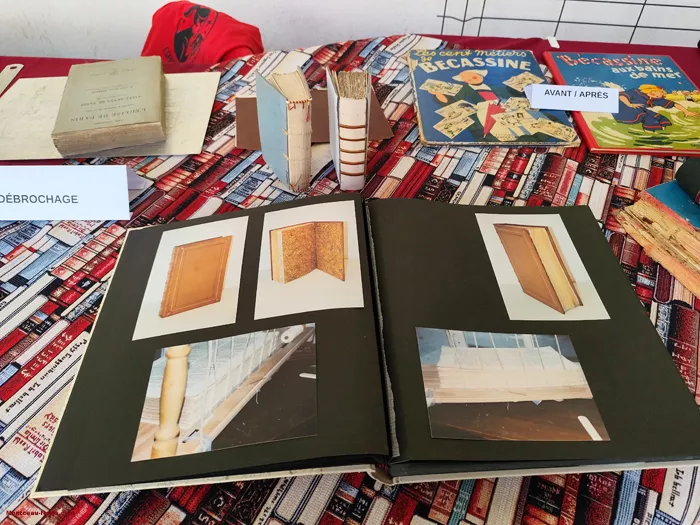 paray-livre-150625161100