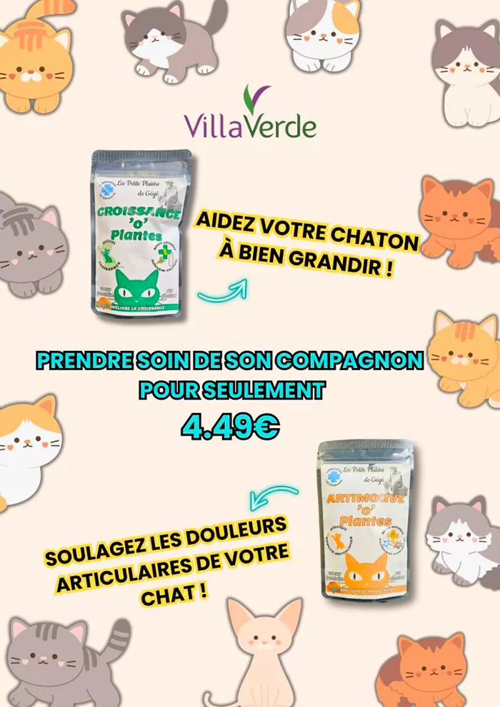 villa-010625
