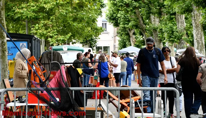 bouquinerie-080725161026