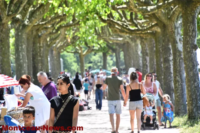 gaule-050725161031