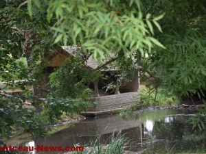 lavoir-germany-300725161024