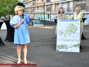 reunion-public-montceau-100725161025