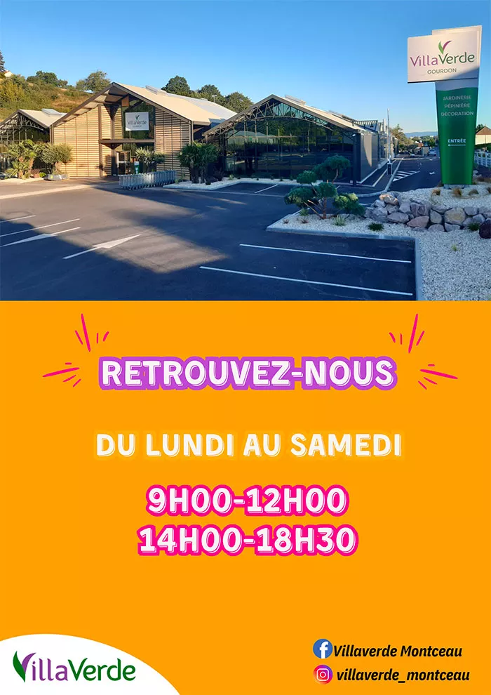 villa-2407254