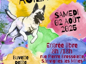 agility-010825