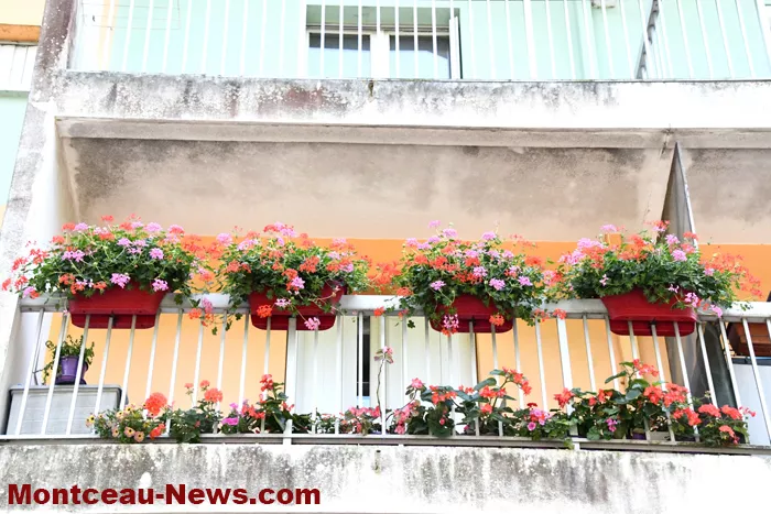 blanzy-balcon fleuri-130825161037