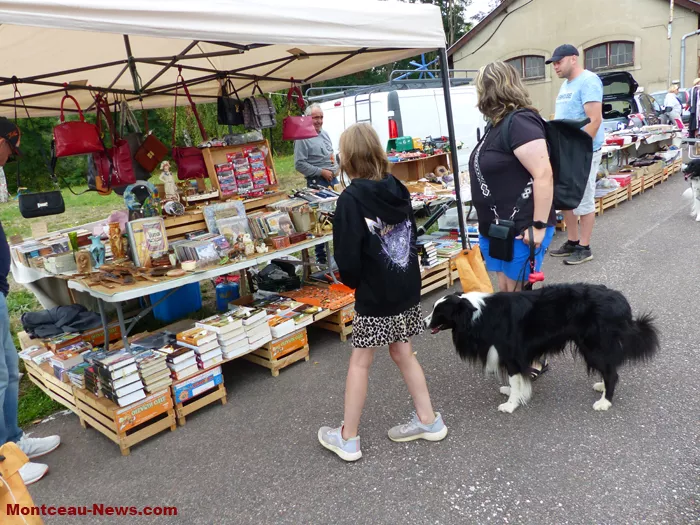 brocante-lavoir-030825161079