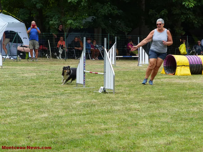 club-canin-sanvignes-030825161058