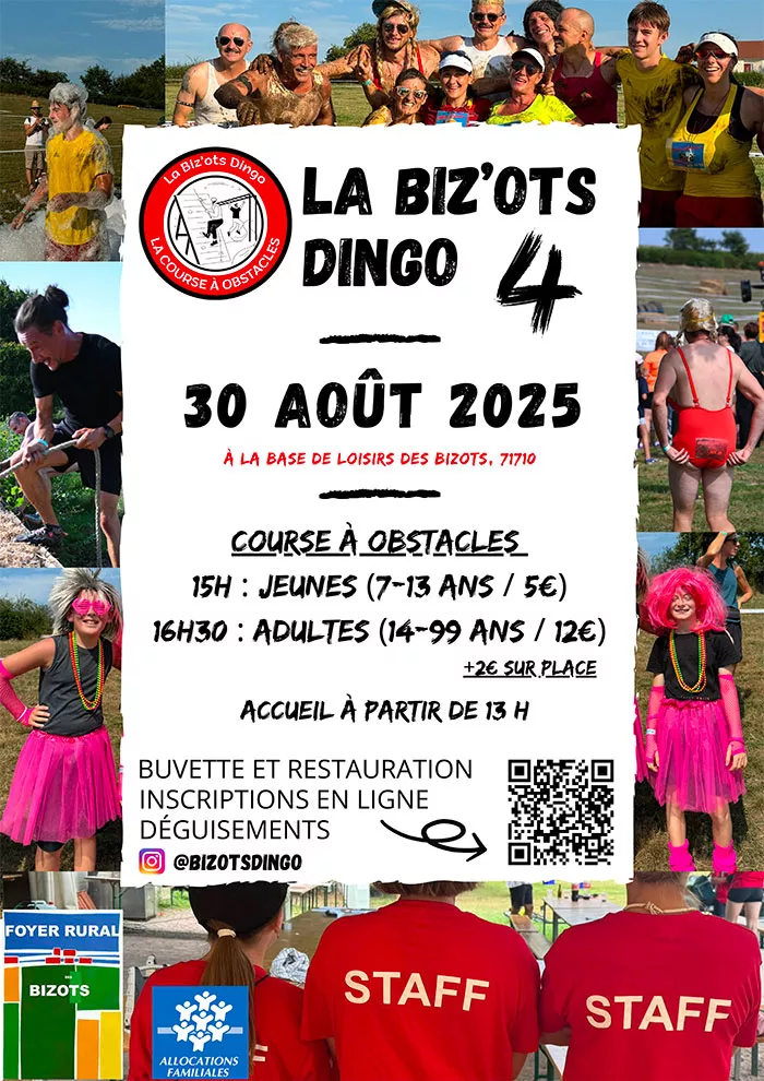 dingo-bizots-260825