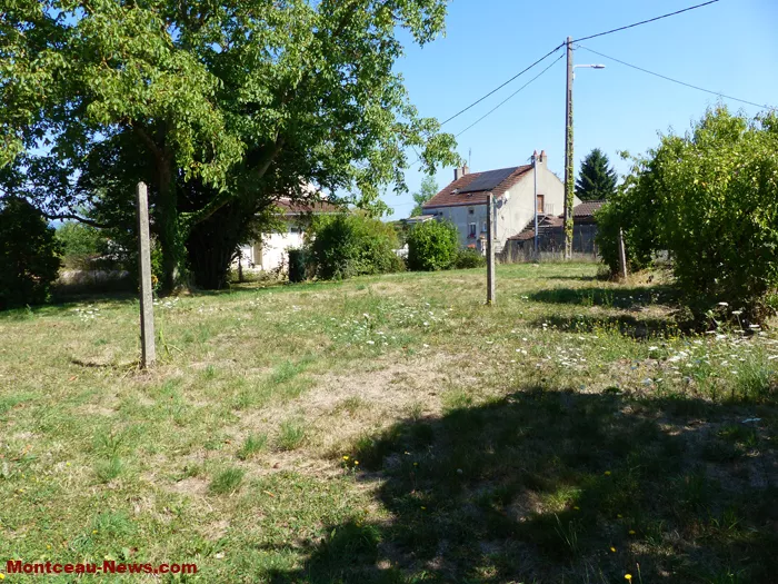 pattes-velours-130825161044