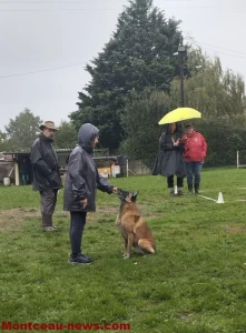 Concours d’obéissance à l’ESCM