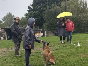concours-canins-240925161024