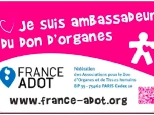 don-organe-260925