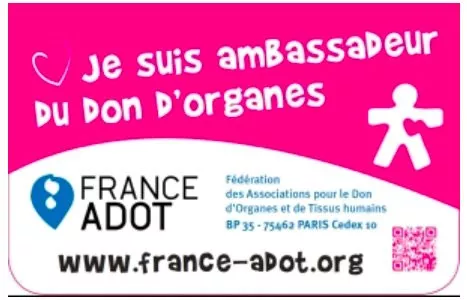 don-organe-260925