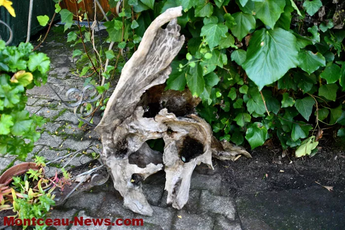 jardin-gilot-210925161024