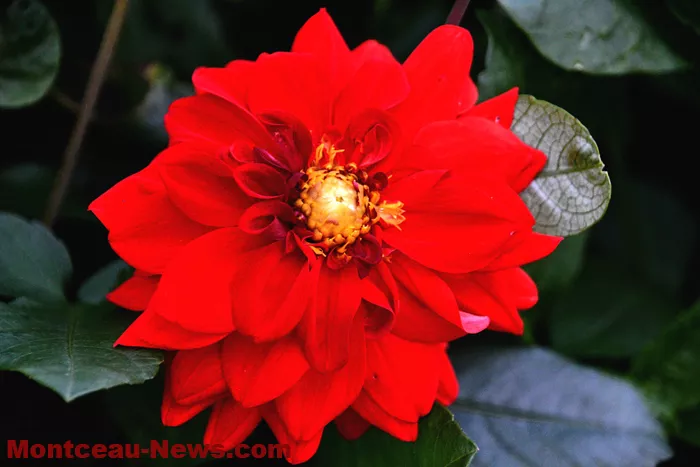 jardin-gilot-210925161027