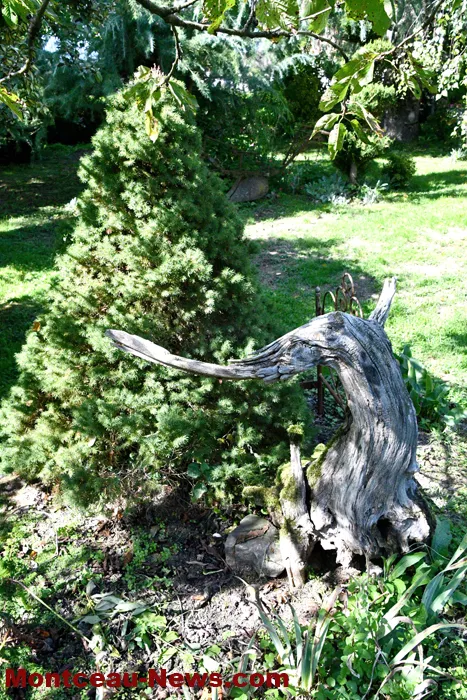 jardin-gilot-210925161028