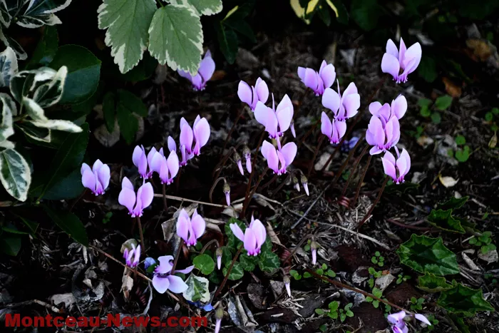 jardin-gilot-210925161032