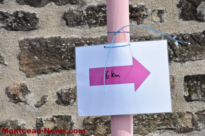marche-rose-les-bizots-290925161039