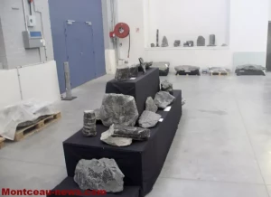 Journées du Patrimoine : Plongée au Cœur du Carbonifère au Paléorama de Montceau-les-Mines