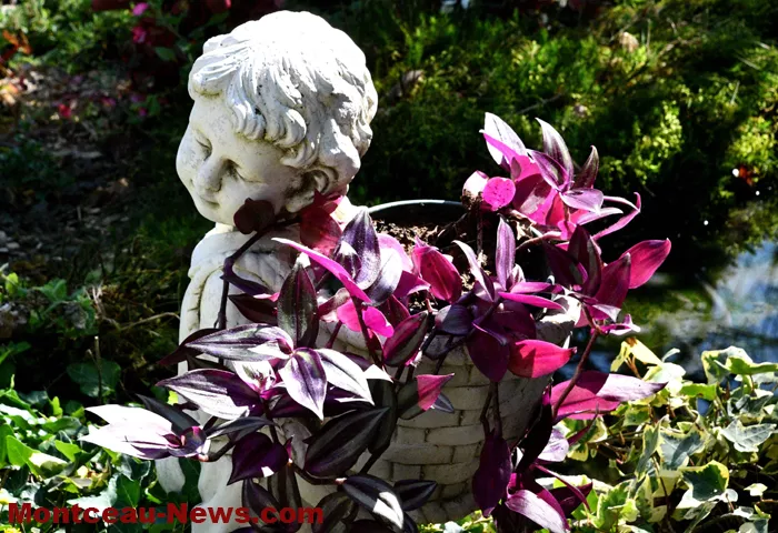 patrimoine-jardin-mont-210925161030