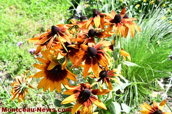 patrimoine-jardin-mont-210925161031