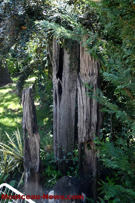 patrimoine-jardin-mont-210925161034