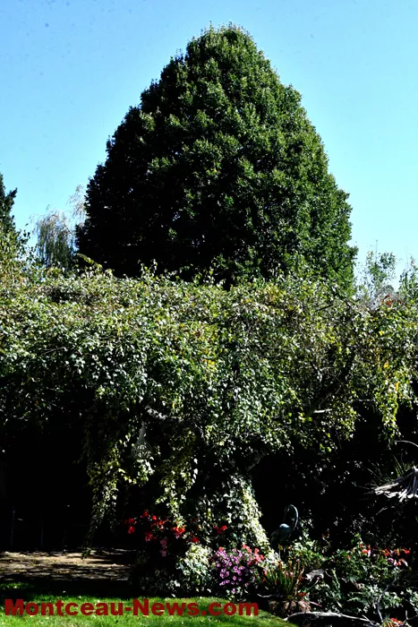 patrimoine-jardin-mont-210925161035