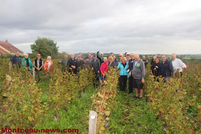 sanv-vendanges-140925161024