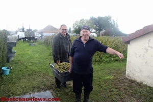 Vendanges 2025 à Sanvignes