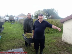 vendanges-sanvignes-140925161025