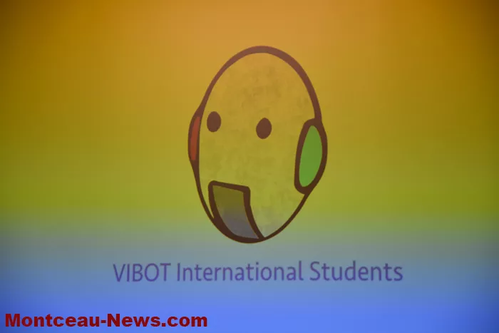 vibot-130925161031