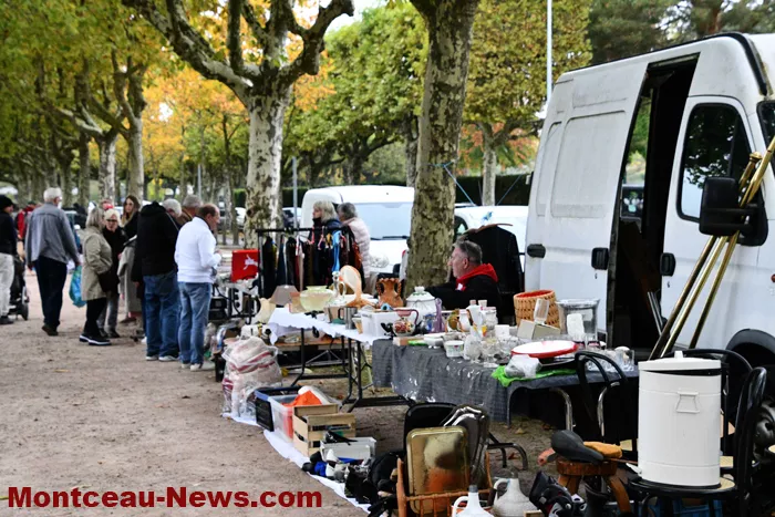 broc-marronniers-1410251