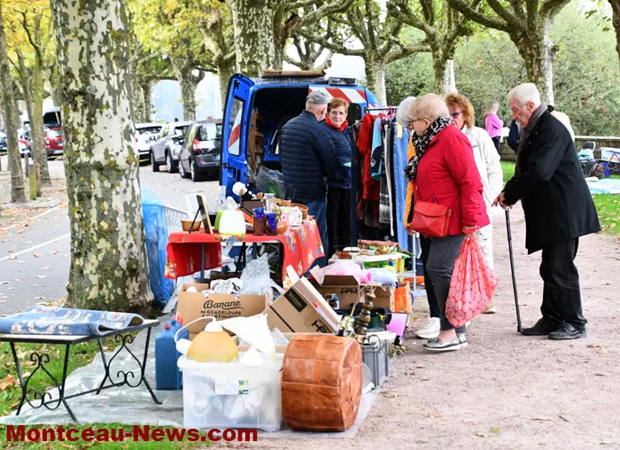 broc-marronniers-14102511