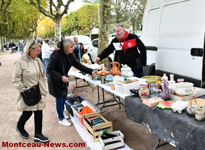 broc-marronniers-1410253