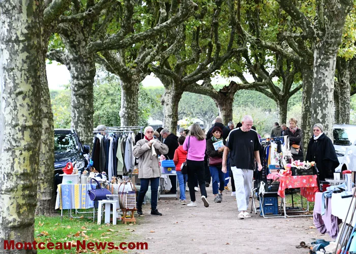 broc-marronniers-1410257