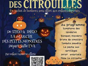 citrouille-141025