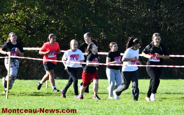 cross-copernic-121025161029