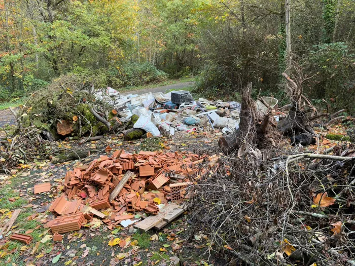 dechets-bois-du-leu-2510251