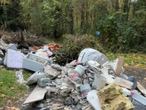 dechets-bois-du-leu-2510253