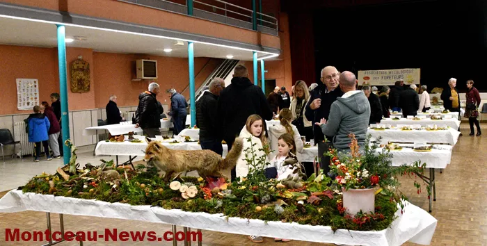 expo-champignions-2710251