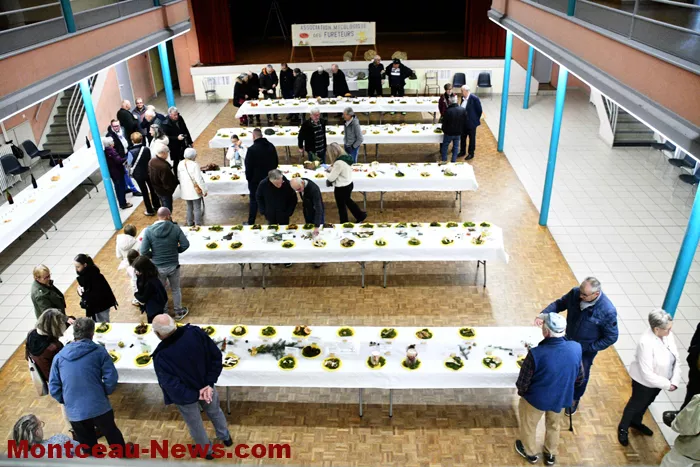 expo-champignions-2710255