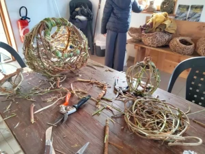 Pouilloux – Libre Regard