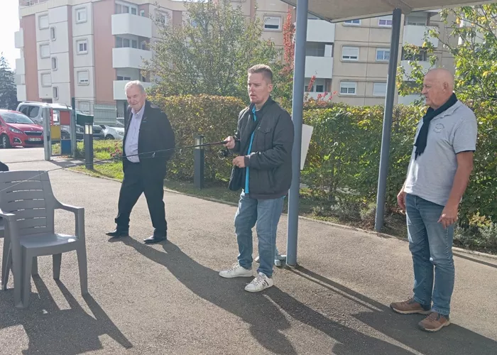 papillon-blanc-21102516